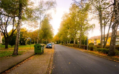 A residential street in autumn with golden trees and fallen leaves