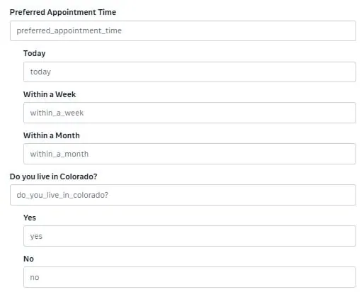 Meta lead form qualifying questions including preferred appointment time