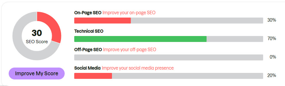 SEO audit scorecard showing a low overall score with weak on-page, off-page, and social signals