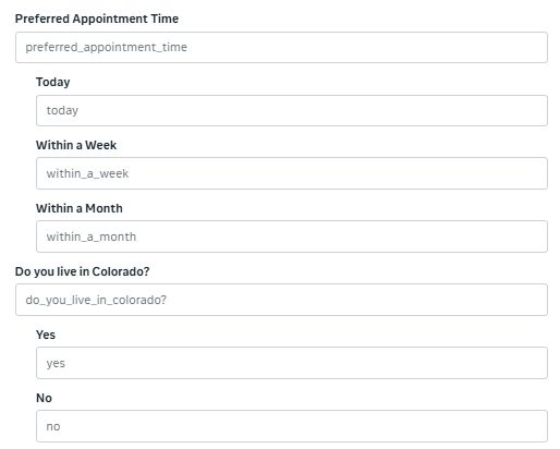 Meta lead form qualifying questions including preferred appointment time