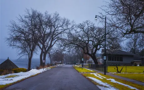 A residential street on a cold overcast winter morning with bare trees