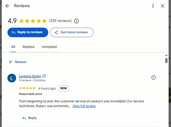 Lexany&rsquo;s Google Business Profile reviews panel showing a 4.9 rating across 339 reviews